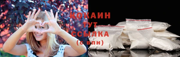 гашик Бронницы