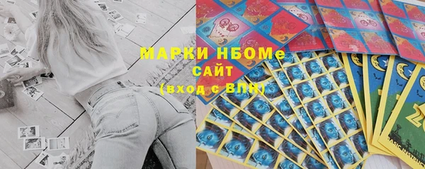 прущий лед Бородино