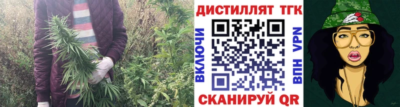 Купить  Выкса  ТГК гашишное масло 