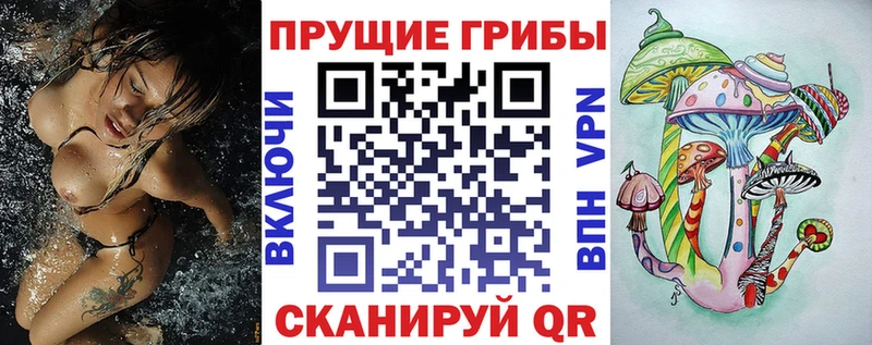 Псилоцибиновые грибы Magic Shrooms  Купить закладки  Выкса 
